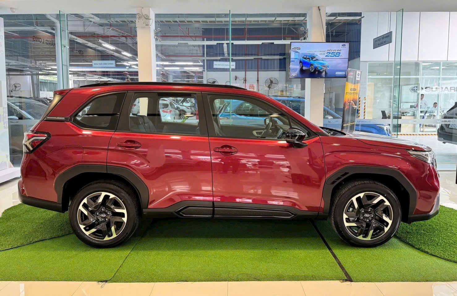 Giới thiệu chi tiết Subaru Forester 2026 - 2